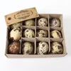 12 Wachteleier ausgeblasen 3cm natur Eier Ostereier Ostern Produktbild-Vorschau 3