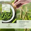 Bohnen Samen (Edamame, 12 Korn) - Bohne Saatgut aus Produktbild-Vorschau 2