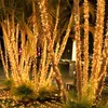Palm trees decorated with warm white fairy lights at night. Produktbild-Vorschau