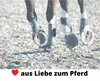 HorseGuard Sehnenschoner Gamaschen mit Knopfverschluss für Produktbild-Vorschau 3