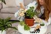 A person is repotting a plant indoors. Produktbild-Vorschau
