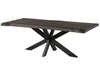 MASSIVMOEBEL24 Baumtisch Mango 200x100x77 grau lackiert / Produktbild-Vorschau 3