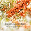 WELEDA Duindoorn 24h roll on deodorant (50 ml) Productafbeelding-voorbeeld 4