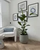 Bloempot voor tuin, terras, balkon of binnen, merk Mazovia. Productafbeelding-voorbeeld 8