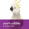 Tropical Carnival® Natural Chili Pepper Pods - sušené čili Náhľad obrázku produktu 7