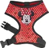 Disney Minnie Dots Hundegeschirr XS-S Produktbild-Vorschau 2