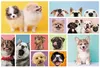 Trefl Puzzle 160 el. Psia przyjaźń, 160 szt., Animals, 6 Podgląd zdjęcia produktu 2