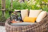 MuchoWow® Outdoor Kissen - Blumen - Tisch - Stilleben - Produktbild-Vorschau 3