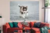 MuchoWow® Poster Husky-Welpe läuft über die Straße 180x120 Produktbild-Vorschau 2
