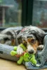 Nobby Hundespielzeug Xmas Plüsch Grimo klein grün Produktbild-Vorschau 4