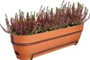 Jardinière elho® Vibia Campana en terre cuite de 70 cm avec Voir les images du produit 4