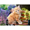 Castorland Ginger kitten 500 pcs, 500 szt., Fauna, 9 lat(a) Podgląd zdjęcia produktu 2