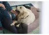 Divano per cani Hunter Letto per cani Boston marrone Anteprima dell’immagine prodotto 2