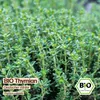 Samenliebe  Thymian Samen | Deutscher Winter - winterhart & Produktbild-Vorschau 4