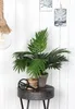 Mica Decorations Areca Palme Kunstpflanze im Blumentopf Produktbild-Vorschau 2