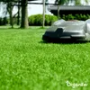 Vertikutier-Mix - Grassamen - Dünger - Produktbild-Vorschau 4