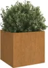 A square planter made of corten steel filled with a lush green plant. Produktbild-Vorschau