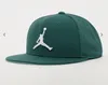 Nike Jordan Pro Cap FV5296-366 Grün – Snapback Kappe M/L | Produktbild-Vorschau 1