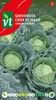 Wirsing Capriccio F1-Hybrid Spolu - cca 0,3 g | VT_902 Náhľad obrázku produktu 1