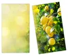Spritzschutz Herdabdeckplatte Schneidebrett aus Glas Produktbild-Vorschau 1