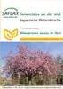 Artikelbild 1 von 'Japanische Blütenkirsche' aus der Kategorie Exotische Samen Podgląd zdjęcia produktu
