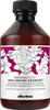 (DE) Davines NaturalTech Shampoo rimpolpante per capelli, Anteprima dell’immagine prodotto 2