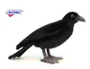 Rabe 30cm Krähe Vogel Schwarz Realistisch Deko Stofftier Produktbild-Vorschau 5