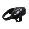 Julius K9 Idc Power Harness / Postroj pro značky Black Náhled obrázku produktu 8