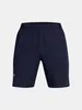 Under Armour Herren Shorts Ua Vanish Woven 8In Shorts Produktbild-Vorschau 3