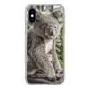 MuchoWow® Handyhülle Schutzhülle Hülle für iPhone X Koala - Produktbild-Vorschau 1