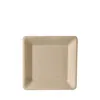 PAPSTAR Zuckerrohr-Teller "pure" eckig 155 x 155 mm 50 Produktbild-Vorschau 1