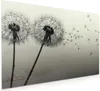 Küchenrückwand Spritzschutz Glas mit Motiv Pusteblume Produktbild-Vorschau 1