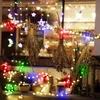 A close-up view of a string of colorful LED lights draped over a branch with dried plants hanging from it, set against a blurred background of a shop window with more lights. Produktbild-Vorschau