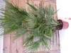 [Palmenlager] - XXL Chamaerops humilis 170 cm - Zwergpalme Produktbild-Vorschau 2