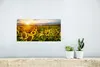 MuchoWow® Poster Blumen - Sonnenblume - Himmel 40x20 cm - Produktbild-Vorschau 5