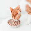 Hund Katze Futternapf District 70 Bamboo Cat Slow Feeder Ø Produktbild-Vorschau 7
