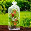 Folia ochronna na pomidory, 2 sztuki Podgląd zdjęcia produktu 4
