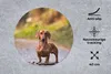 MuchoWow® Mauspad Mousepad Schöner Dackel im Wald 40x40 cm Produktbild-Vorschau 2