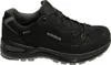 A black LOWA Renegade Evo GTX hiking shoe is shown in a side profile against a white background. Voir les images du produit