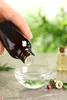 PURE CHEMICAL | Teebaumöl Ätherisch 100ml Produktbild-Vorschau 5
