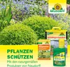 Neudorff Neudomon BuchsbaumzünslerFalle Nachfüllpack 1 Stk. Produktbild-Vorschau 7