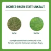 Substral Sport & Spiel Rasensamen 2 kg für 100 m² Produktbild-Vorschau 9