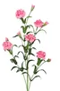 DPI Nelkenzweig Rosa 70 cm - Kunstblumen Produktbild-Vorschau 2