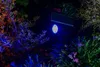 A solar-powered garden light illuminates plants at night with blue and orange light. Voir les images du produit
