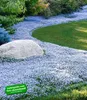 BALDUR Garten 9x Isotoma Blue Foot®, Pflanzen im 9x9 Produktbild-Vorschau 2