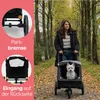 InnoPet Noah Hundebuggy - Für kleine bis mittelgroße Hunde Produktbild-Vorschau 4