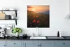 MuchoWow® Poster Blumenfeld - Gras - Pflanzen - Produktbild-Vorschau 3