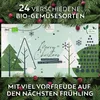 BIO Saatgut & Samen Adventskalender 2025 mit 24 Produktbild-Vorschau 2