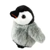 A studio shot of a plush toy penguin. Produktbild-Vorschau