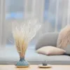 Federgras Getrocknete - (Stipa pennata) - Gebleicht Produktbild-Vorschau 4